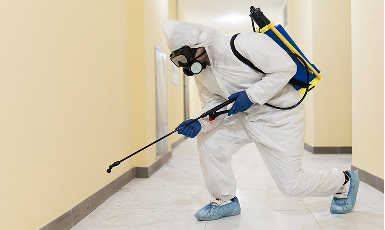 pest control Kenya, pest control services Nairobi, fumigation services Kenya, termite control Kenya, rodent control Kenya, cockroach control Nairobi, bed bug fumigation Kenya, pest exterminators Mombasa, professional pest control Kisumu, pest management Eldoret, affordable fumigation Nakuru, pest inspection Thika, pest treatment Machakos, residential pest control Kenya, commercial pest control Nairobi, pest control company Kenya, best fumigation services Kenya, home pest control Nairobi, office pest control Kenya, pest eradication Kenya